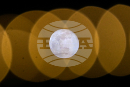 Lebanon Wolf Supermoon