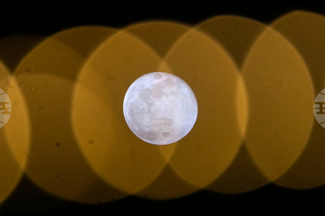 Lebanon Wolf Supermoon