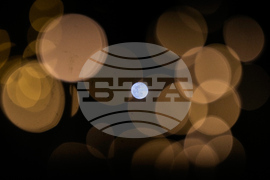 Lebanon Wolf Supermoon