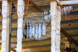 Созопол - ежедневие - риба