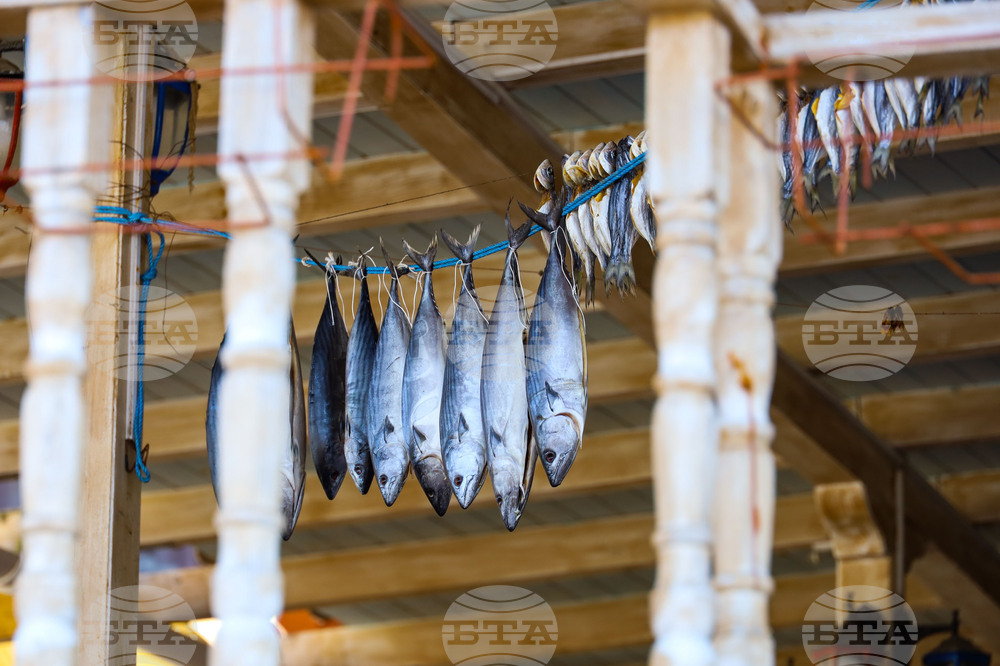 Созопол - ежедневие - риба