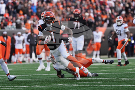 Browns Bengals Football