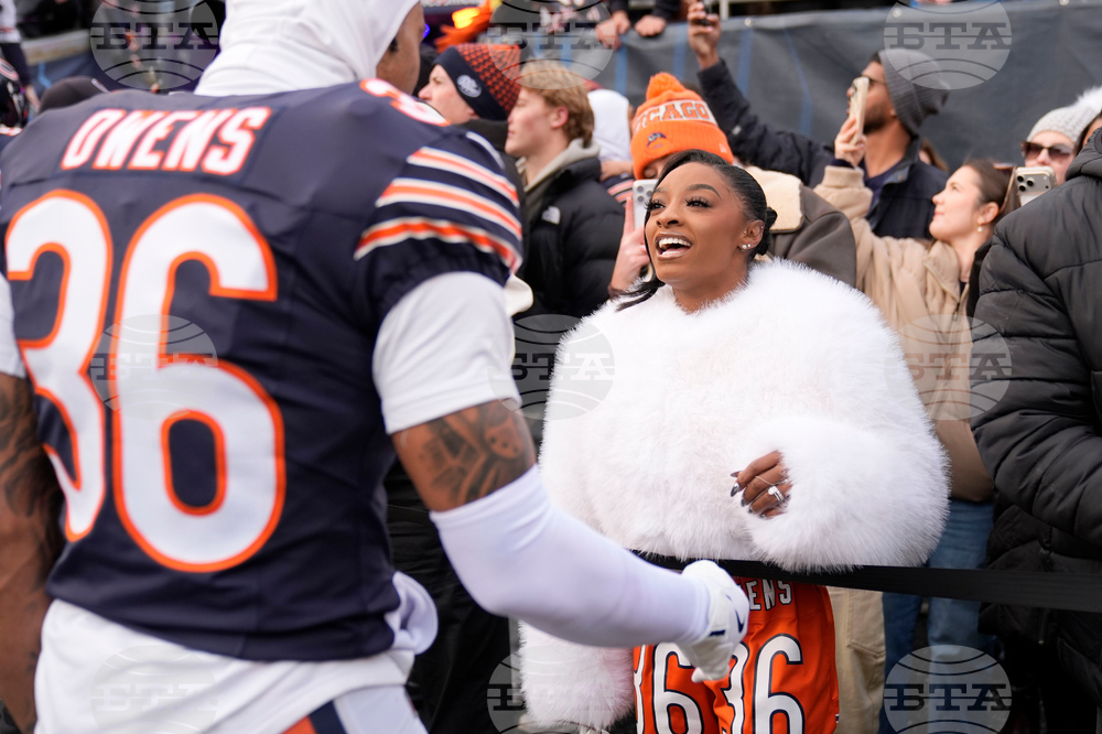 Lions Bears Football