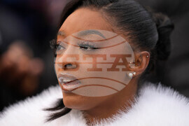 Lions Bears Football