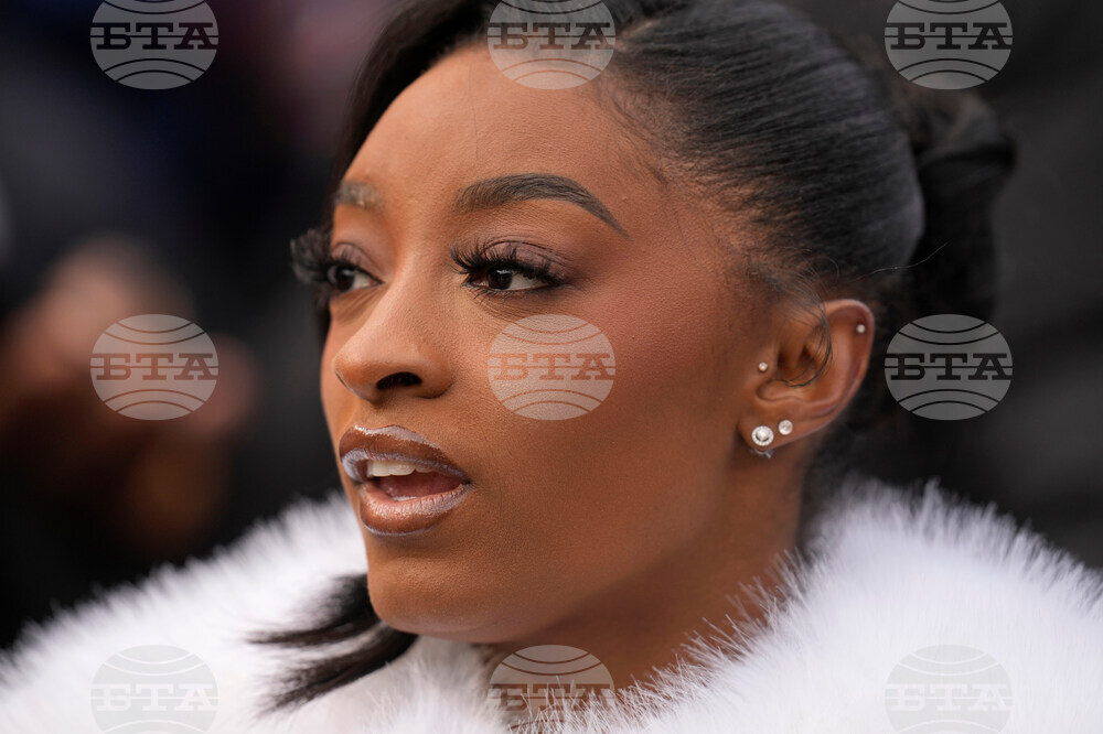 Lions Bears Football