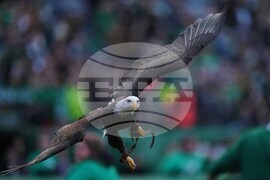 Commanders Eagles Football