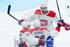 Canadiens Stars Hockey