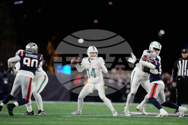Dolphins Patriots Football