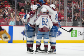 Avalanche Panthers Hockey