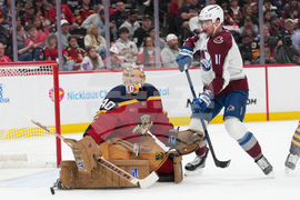 Avalanche Panthers Hockey