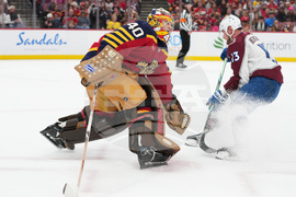 Avalanche Panthers Hockey