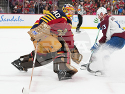 Avalanche Panthers Hockey