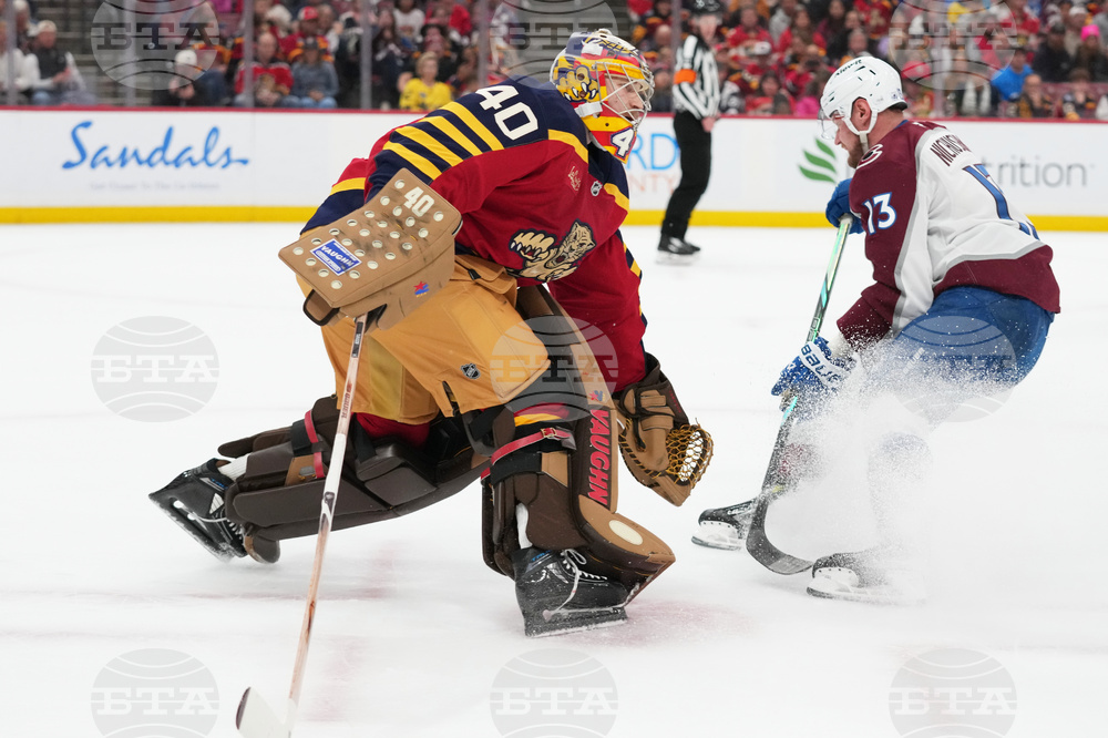 Avalanche Panthers Hockey