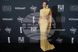 2026 Critics Choice Awards - Arrivals