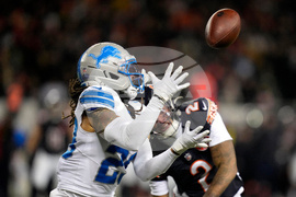 Lions Bears Football