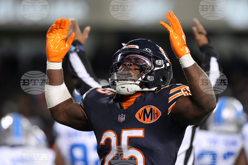 Lions Bears Football