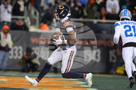 Lions Bears Football