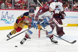 Avalanche Panthers Hockey