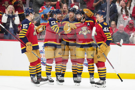 Avalanche Panthers Hockey