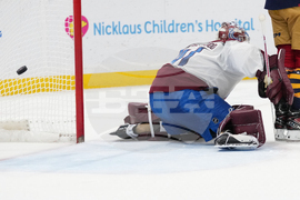 Avalanche Panthers Hockey