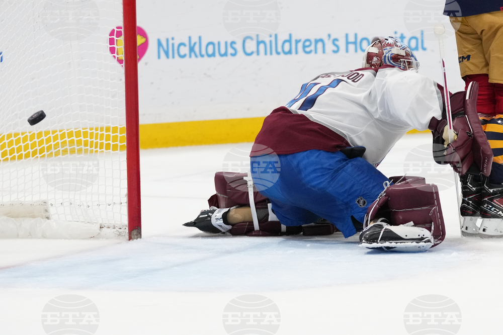 Avalanche Panthers Hockey