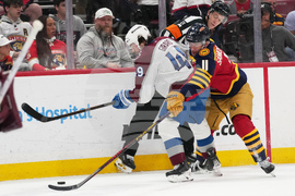Avalanche Panthers Hockey
