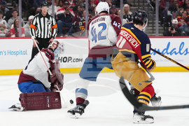 Avalanche Panthers Hockey