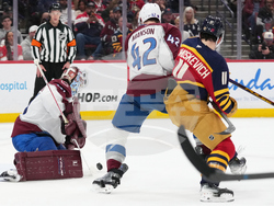 Avalanche Panthers Hockey