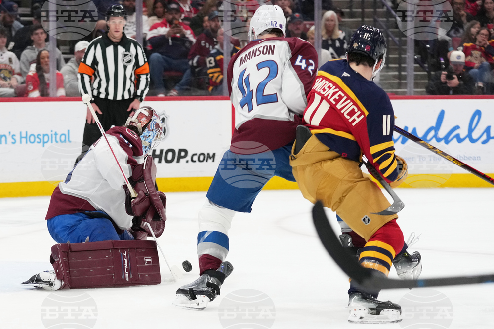 Avalanche Panthers Hockey