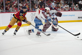 Avalanche Panthers Hockey