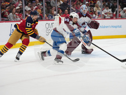 Avalanche Panthers Hockey