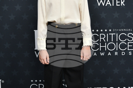 2026 Critics Choice Awards - Arrivals