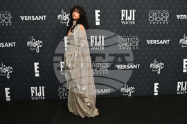 2026 Critics Choice Awards - Arrivals