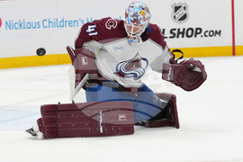 Avalanche Panthers Hockey