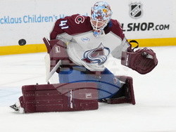 Avalanche Panthers Hockey