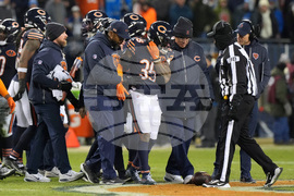 Lions Bears Football