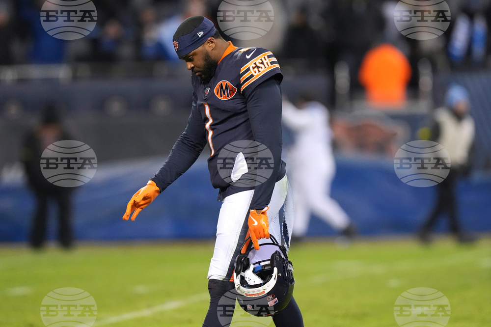 Lions Bears Football