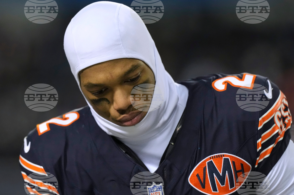 Lions Bears Football