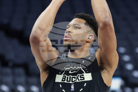 Bucks Kings Basketball