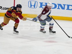 Avalanche Panthers Hockey