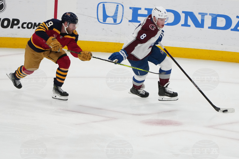 Avalanche Panthers Hockey