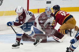 Avalanche Panthers Hockey