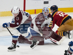 Avalanche Panthers Hockey