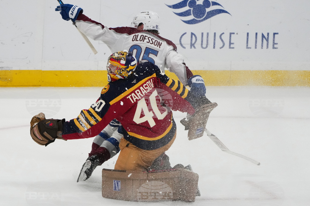 Avalanche Panthers Hockey