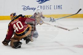 Avalanche Panthers Hockey