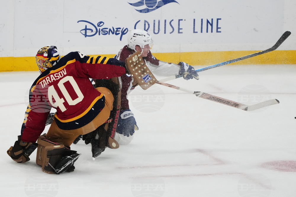 Avalanche Panthers Hockey