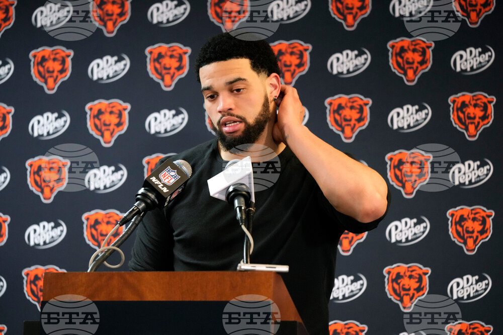 Lions Bears Football