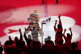 Avalanche Panthers Hockey