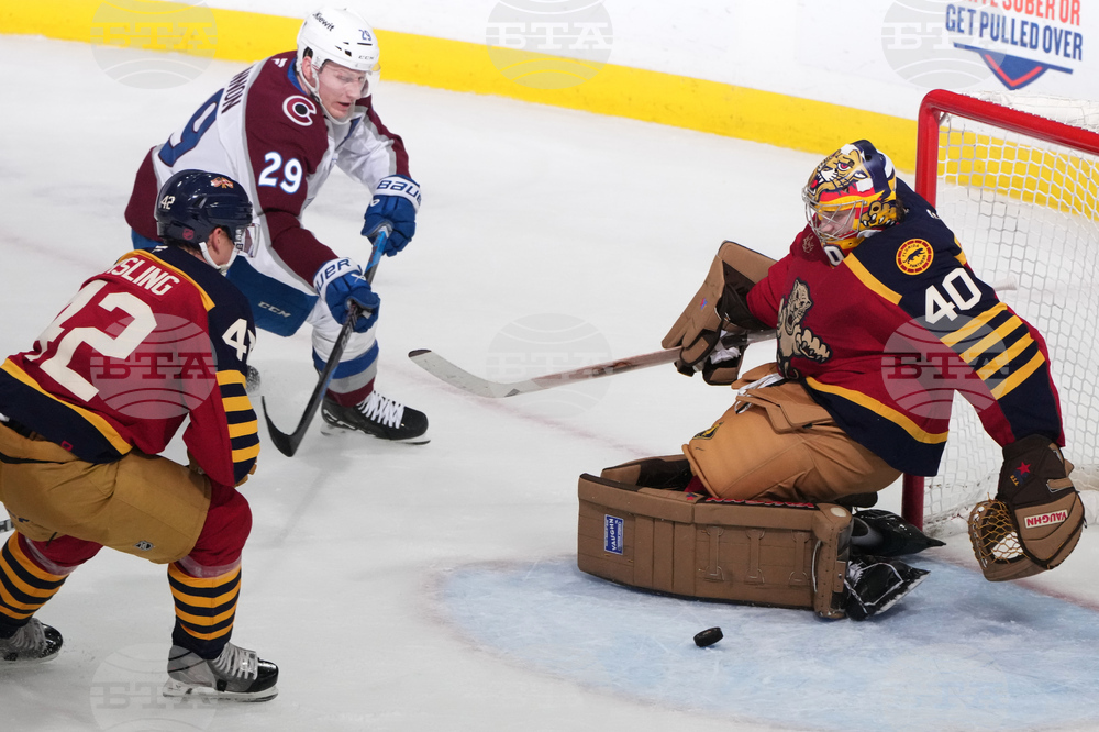 Avalanche Panthers Hockey