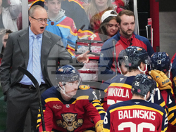 Avalanche Panthers Hockey